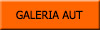 Galeria aut